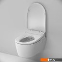 Унитазы AM.PM Func C8F1702SC