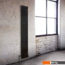 Радиаторы отопления Arbonia 2180/8 89 SF NIC C 006 (правый, нижнее подключение)