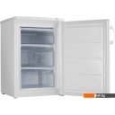 Холодильники Gorenje F492PW