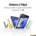 Мобильные телефоны Samsung Galaxy Z Flip6 SM-F741B 12GB/512GB (голубой)