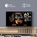 Телевизоры Topdevice TDTV43CS06UBK