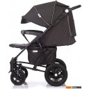 Детские коляски и аксессуары Babyhit Tribute BS102 (black)