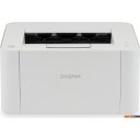 Принтеры и МФУ Digma DHP-2401W (белый)