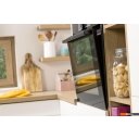 Духовые шкафы Gorenje BO6735E05X