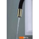 Смесители Paulmark Salix Sa213419-G (черный/золото)