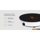 Настольные плиты Xiaomi Induction Cooker Lite DCL002CM-1 (евровилка)