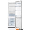 Холодильники Gorenje RF4141PW4