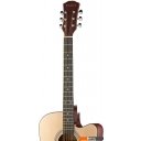 Гитары Fante FT-221-N