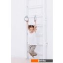 Детские спортивные комплексы и игровые площадки Romana Eco 1.1 02.21.8.14.500.09.01 (белый)