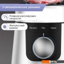 Блендеры Zigmund & Shtain BS-447 D Блендеры Zigmund & Shtain BS-447 D