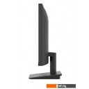 Мониторы LG 24MS500-B