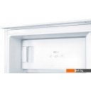 Холодильники Zigmund & Shtain BR 12.1221 SX