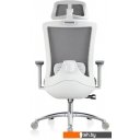 Офисные кресла и стулья Evolution ERGO Prime Grey (серый)