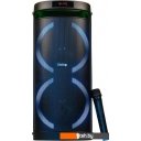 Беспроводные и портативные колонки Dialog AO-300