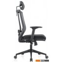 Офисные кресла и стулья Evolution ERGO BLISS Black (черный)