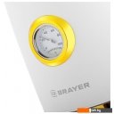 Электрочайники и термопоты Brayer BR1018