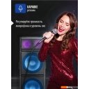 Беспроводные и портативные колонки Aiwa CAS-2022