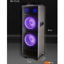 Беспроводные и портативные колонки Aiwa CAS-2022