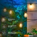 Гирлянды и световые фигуры Rexant Канэри 602-2422