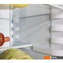 Холодильники Орск 171 G (графит)