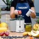 Соковыжималки Zelmer ZJE3800