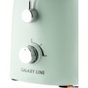 Соковыжималки Galaxy Line GL0811 (свежая мята)