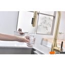 Смесители Paulmark Iniversal Un213880-SBG (золото/светлое брашированное золото)