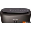 Очистители и увлажнители воздуха Sharp KIN-41RH