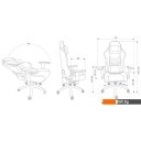 Офисные кресла и стулья CACTUS CS-CHR-0112BL (черный)