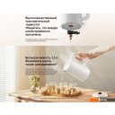Электрочайники и термопоты Xiaomi Electric Kettle 2 Lite MJDSH06-A (евровилка)