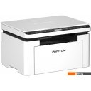 Принтеры и МФУ Pantum BM2300W