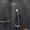Душевые системы и гарнитуры AM.PM Chiс F0720700