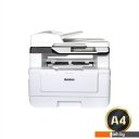 Принтеры и МФУ Avision AM43A Plus