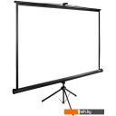 Проекционные экраны CACTUS TriExpert 220x220 CS-PSTE-220X220-BK