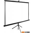 Проекционные экраны CACTUS TriExpert 220x220 CS-PSTE-220X220-BK