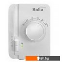 Тепловые завесы Ballu BHC-M20W30-PS (пульт BRC-D2)