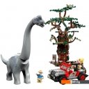 Конструкторы LEGO Jurassic World 76960 Встреча с Брахиозавром