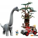 Конструкторы LEGO Jurassic World 76960 Встреча с Брахиозавром