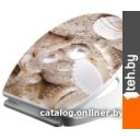 Сиденья и крышки для унитазов и биде Bisk Iris Foto 05830 (жемчужина)