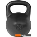 Гантели, гири, штанги Titan любительская 24 кг