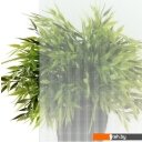 Душевые кабины Triton Лайт А 100x100 с душевым комплектом (градиент)