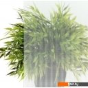 Душевые кабины Triton Лайт В 100x100 с душевым комплектом (градиент)