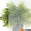 Душевые кабины Triton Лайт В 100x100 с душевым комплектом (градиент)