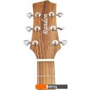 Гитары Randon RGI-01 Гитары Randon RGI-01
