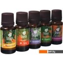 Косметика по уходу за телом Банные штучки Набор эфирных масел Легкое дыхание 33400 5x15 мл