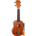 Гитары Flight NUS310