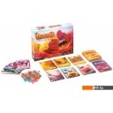 Настольные игры Эврикус Пчелы. Тайное королевство BG-17040