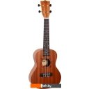 Гитары Flight NUC310