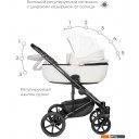 Детские коляски и аксессуары Riko Ozon (2 в 1, 05)