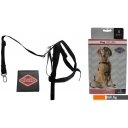 Сумки, переноски для животных D&D Home 313/419205 (S, 30-60 см)